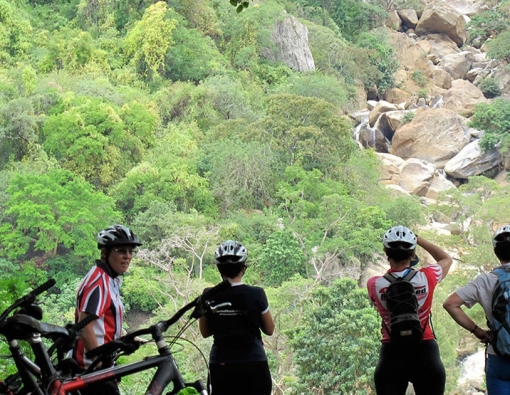 Materuni Waterfalls And Coffee Tour 